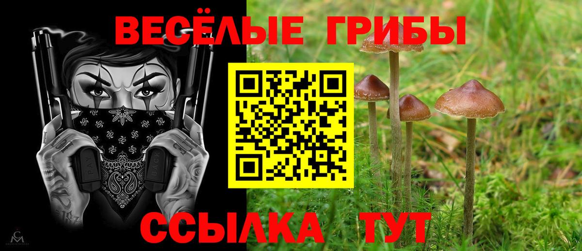 Галлюциногенные грибы мухоморы Жигулёвск